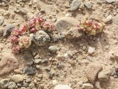 -克孜尔尕哈烽燧世界文化遗产公园