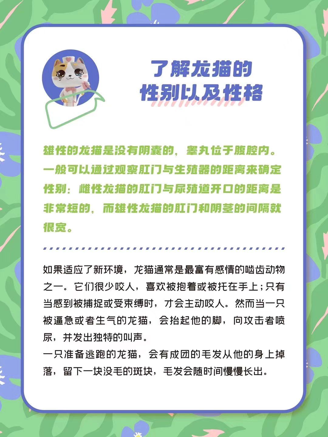 魔力百科宠物养成注意事项