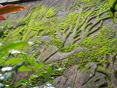 -水濂山森林公园