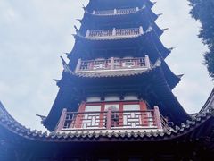 -黄贤森林公园
