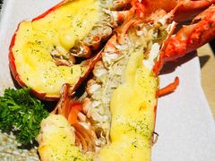 芝士波龙-虹料理·日料放题(悠方店)