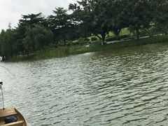 -东莞植物园