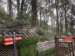 -巴倒烫陆派火锅山庄(南山总店)
