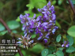 -天芳悦潭度假村温泉