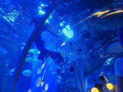 -顺德南宏海立方海洋公园