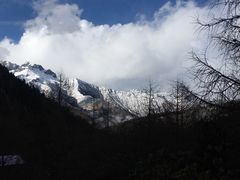-黄龙山原始森林景区