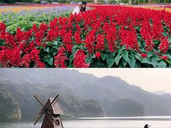 -广州市石门国家森林公园