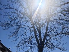 -红嫂家乡旅游区