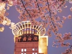-东方明珠广播电视塔