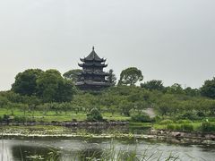 -上海海湾国家森林公园