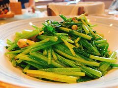 -食家鸽园