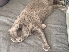 -瑞派天宁宠物医院·猫科·异宠中心