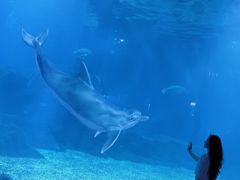 -福州罗源湾海洋世界旅游区