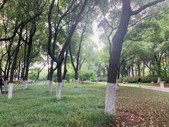 -荆川公园