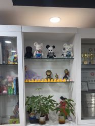 -学舞岛·成人少儿舞蹈培训