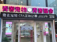 -青奢宠物·青奢猫舍