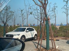 -南汇嘴观海公园