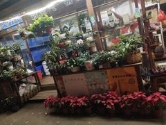 -万绿园