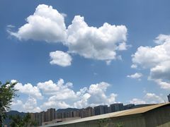 -枫香湖儿童公园