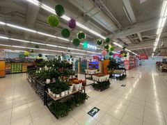 -华润万家(临城店)