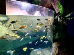 -苏州海洋馆