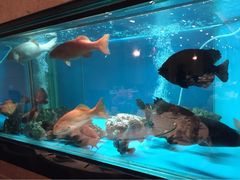 iphone_upload_pic-東海海鲜酒家(中信广场店)
