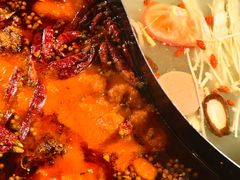 -小志家.野生菌鲜切牦牛肉牛杂火锅