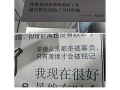 -成都失恋馆