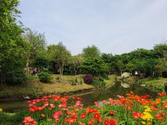 -鹅湖玫瑰文化园