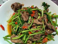 香菜炒牛肉-壹盏灯(惠农店)
