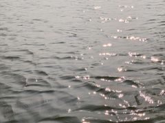 -海珠湖公园