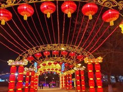 -沈阳奥体冰雪嘉年华