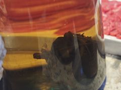 -琥珀川糟粕醋火锅(慈云寺店)
