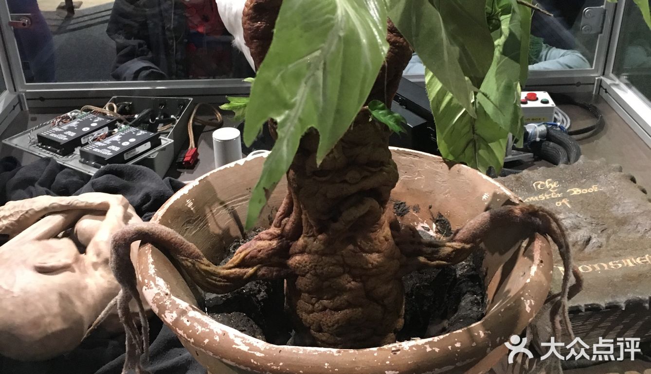 这里懂的人一看就知道是哪里了！
