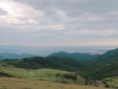 -大姆山草场