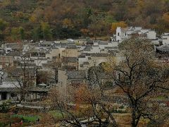 -塔川景区