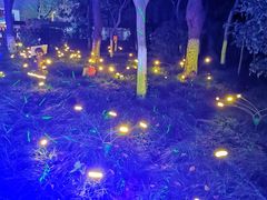 -昆山城市生态森林公园