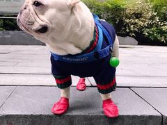 -南京东郊国宾馆