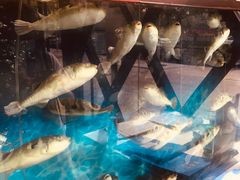 水产区-肆月河豚·新淮扬(金融街店)