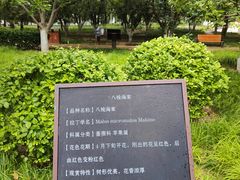 -元大都城垣遗址公园