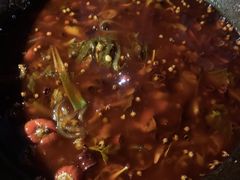 -鸿顺老铁锅美蛙鱼府(解放碑店)