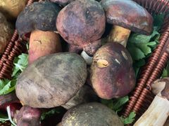 -草墩罗非鱼庄•野生菌•腊排骨(七星街上段店)