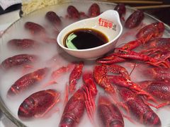 -红盔甲·小龙虾(天钥桥店)