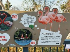-武汉动物园