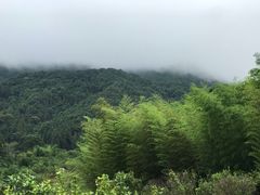 -千泷沟大瀑布旅游区