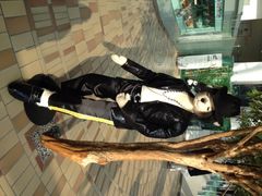 泰迪熊博物馆-济州岛泰迪熊博物馆