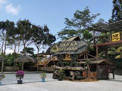 -海南槟榔谷黎苗文化旅游区