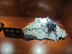 -青岛德国总督楼旧址博物馆