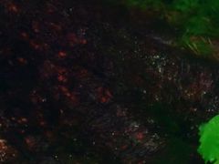 -五营红松林海景区