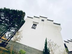 -宁波杭州湾国家湿地公园